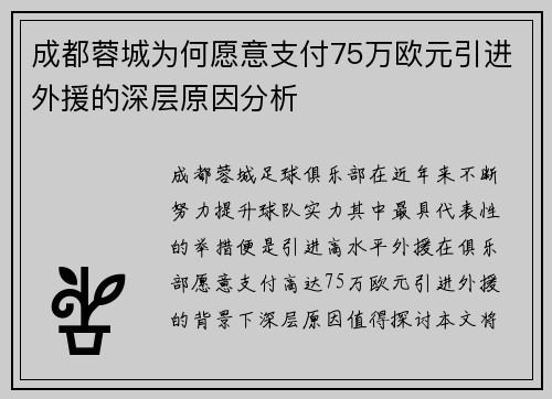 成都蓉城为何愿意支付75万欧元引进外援的深层原因分析