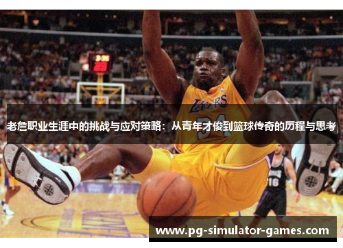 老詹职业生涯中的挑战与应对策略：从青年才俊到篮球传奇的历程与思考