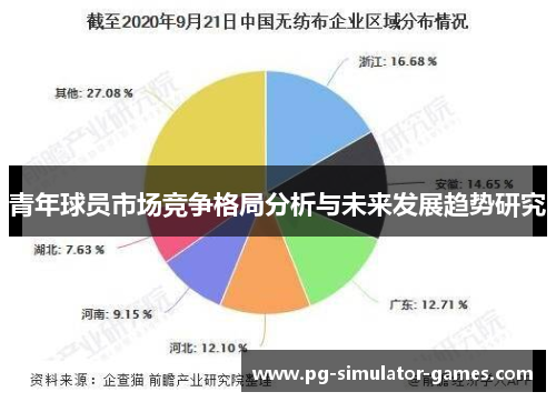 青年球员市场竞争格局分析与未来发展趋势研究