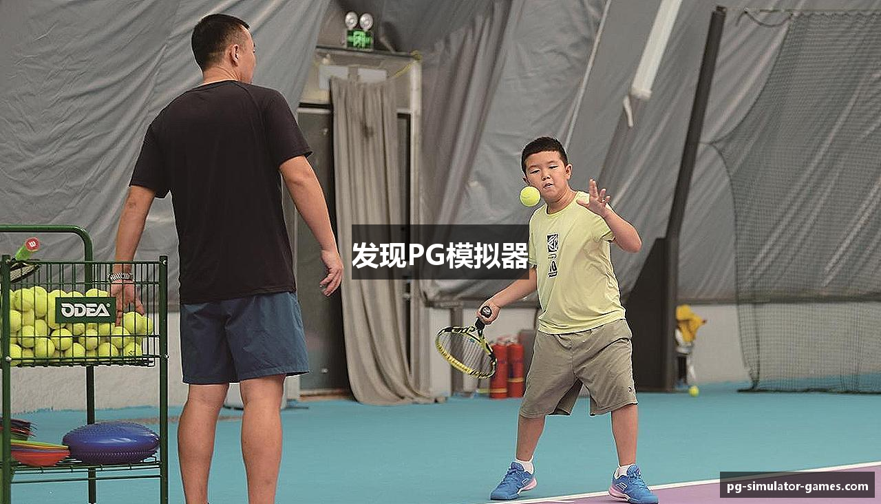 发现PG模拟器